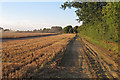 Wheat field being harvested, near Goulding's Farm, Newton in CO10 0WS