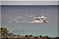 St Ives : Fishing Vessel in TR26 1PT