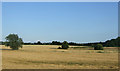 Farmland, Attleborough in NR17 2DJ