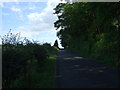 Minor road towards Stelling Hall in NE43 7TL
