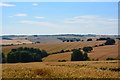 Wheat fields, Baydon, Wiltshire in SN8 2LQ
