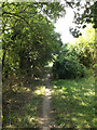 Bridleway to Wentworth Drive in MK41 0JU
