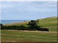 Cliff Top at Sheringham in NR26 8AQ
