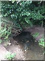 Tributary of the River Arrow in B80 7EP