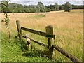 Stile and Barbed Wire Fence near Thursford in NR21 0BD