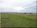 Willingdon Hill summit and trig point in BN20 8SN