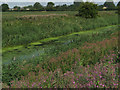 Market Weighton Canal, near Newport (E Yorks) in HU15 2PP