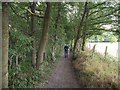 The Trans Pennine Trail at Silkstone Common in S75 4QX