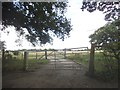 Double gate on Kidmore End Lane in RG4 8ST
