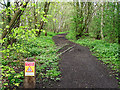 Old railway tracks, Kingmoor Sidings Nature Reserve in CA3 9QJ
