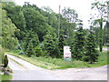 Christmas Tree Farm in TN33 9BB