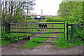 Decorative gate, Kingmoor Sidings Nature Reserve in CA3 9QJ