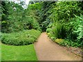 Path in Woodland Walk, Sandringham Estate in PE35 6EP