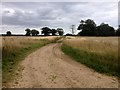 Track near Swaffham Plashes in PE37 7QD