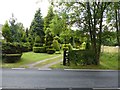 Topiary on Burford Lane in WA13 0SQ
