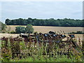 Farming machinery near Southwick Grange in PE8 5BW