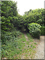 Coach Lane footpath to Rothamsted Park in AL5 1DT