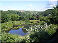 Pond next to B6138 at Green Bank in HX7 5TJ