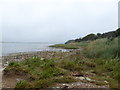 Footpath by Pagham Harbour looking towards Pagham Wall in PO21 4NX