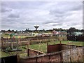 Shoemakers Lane Allotments in PE37 7PJ