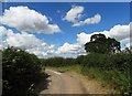 Bend in Hodsock Lane in Hodsock