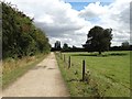 Approaching Hodsock on Hodsock Lane in Hodsock