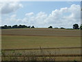 Farmland off the A602 near Hitchin in SG4 7NU