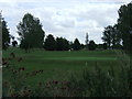Golf course, Henlow Airfield in SG16 6HW