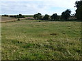 Grassland east of Armston, Northamptonshire in PE8 5PR