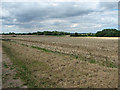 Fields east of Ferrygate Lane, Martham in NR29 4PZ