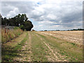 Farmtrack north of Martham in NR29 4PZ