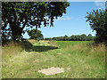 Farmtrack past fields, Martham in NR29 4PZ