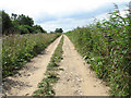 Farm track flanked by drainage ditches in NR29 4RD