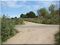 Farm tracks, Mustard Hyrn in NR29 4RD