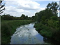 The River Ivel, Langford in SG18 9NU