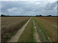 Farm track near Broom in SG18 9NR