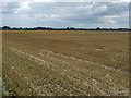 Stubble field east of Broom in SG18 9NR