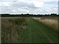 Farm track (bridleway) towards the A1 and Biggleswade in SG18 8AZ
