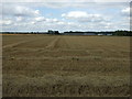 Stubble field north of Hill Lane in SG18 9DP