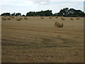 Stubble field with bales in MK44 3PD