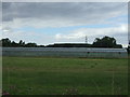 Greenhouses north of Tempsford Road in SG19 2AT