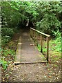 Footbridge, Scrase Valley Nature Reserve in RH16 2SW