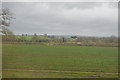 Farmland near Ansford in BA7 7JJ
