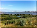 Port Sunlight River Park in CH62 4SB