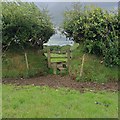 Stile in hedgebank in EX31 4NE