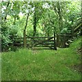 Gate and stile, Winford Plantation in EX31 4NE
