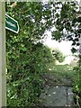 A footbridge of railway sleepers over the ditch in Claydon & Barham Ward