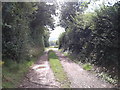 Footpath at East Nynehead in TA21 0DA