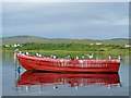 Terns on a boat in IV51 9NU