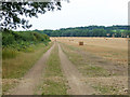 Farm track to Nazeing Common in EN9 2ZR